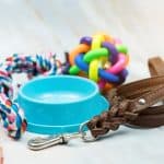 Dog dish, leash, toys