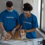 Tan colored dog lying on table at vet with male and female volunteer staff petting him.