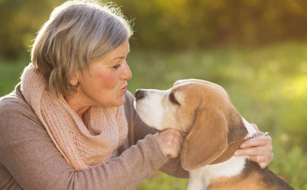 Do Dogs Feel Love? The Science Behind Their Emotions