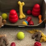 Colorful box of dirty dog toys that need to be washed!