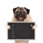 Pug with glasses holding a blackboard with a checklist--how to pass my dog adoption interview!