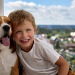 Nice Beagle with a happy young boy hugging him in front of a window overlooking a town