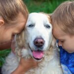White Lab looks perplexed as a boy and girl hug him.